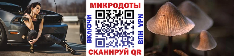 маркетплейс Telegram  Волгоград  Псилоцибиновые грибы Psilocybe 