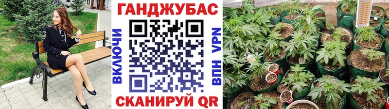Канабис OG Kush  Волгоград 